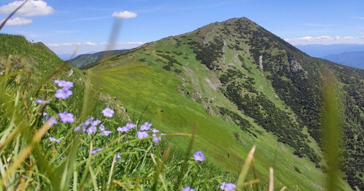 Hřebenovka - Malá Fatra (SK)