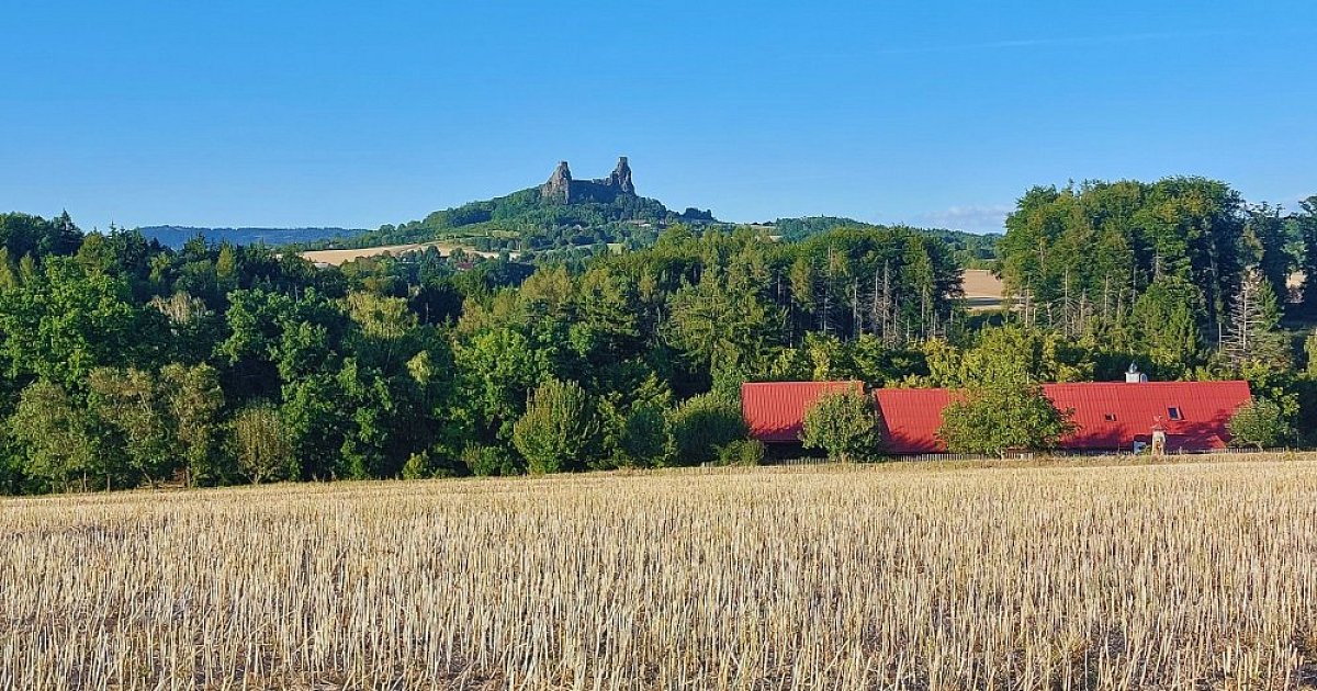 Nižina 2026