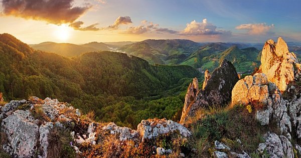 Slovenska križanka 2026