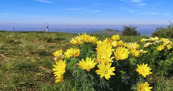 Horská abeceda 2022