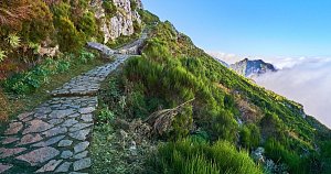 Přechody a hřebenovky