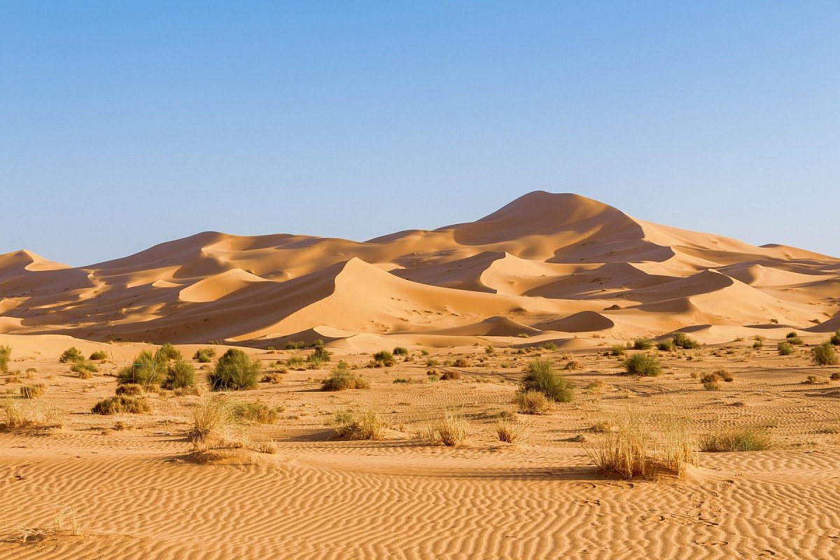 Zahodna Sahara