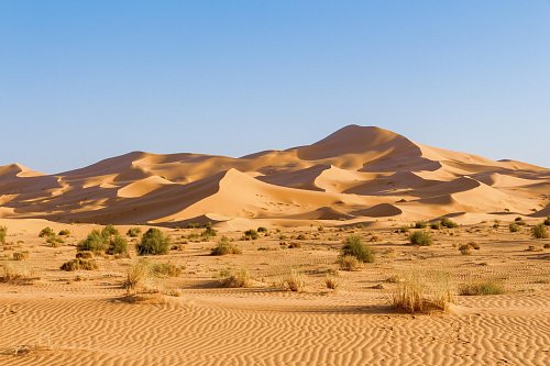 Zahodna Sahara