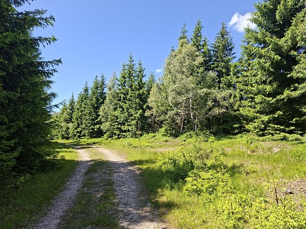 Jelení vrch