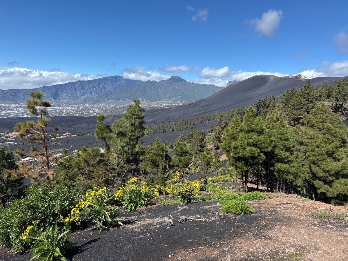 Montaña de Tamanca (815&nbsp;m)