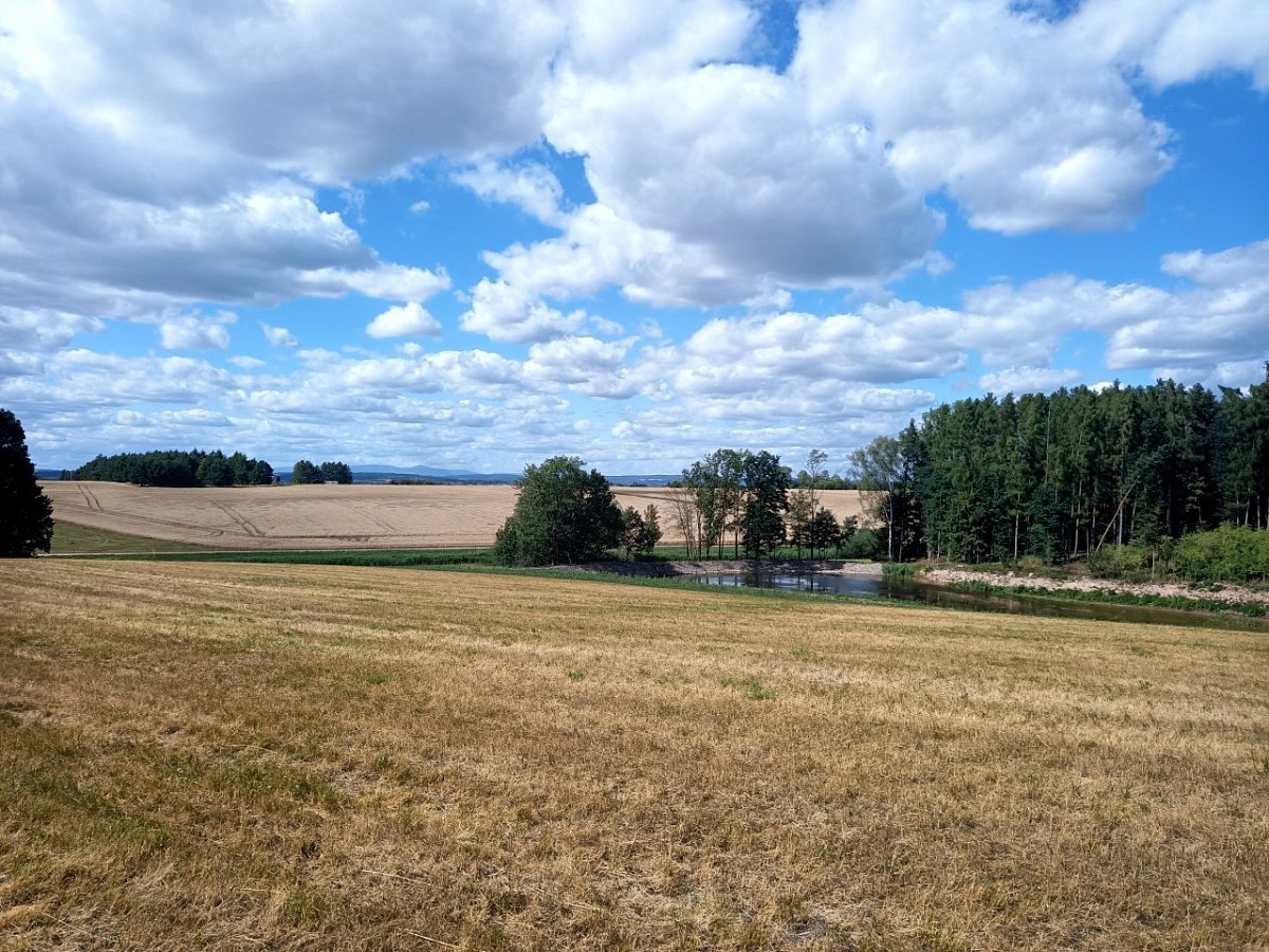 Hančin kopeček (260&nbsp;m)
