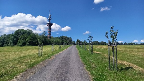 Sokolí vrch