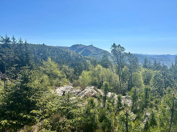 Fløyfjellet