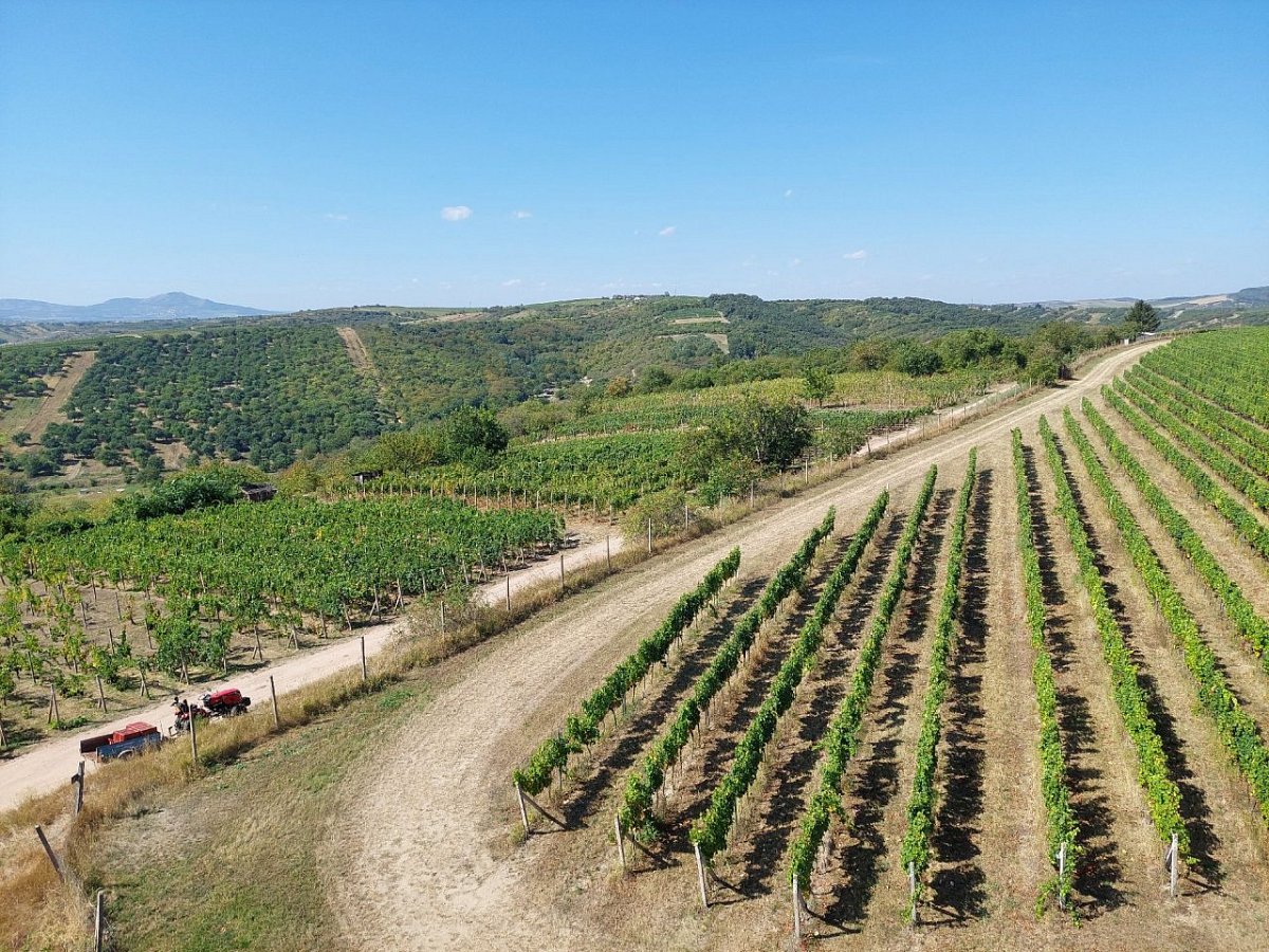 Kraví hora (273&nbsp;m)