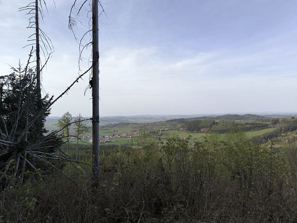 Svatební