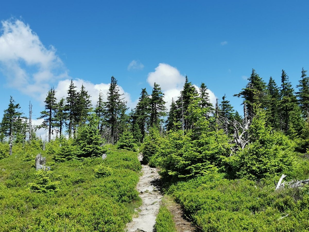 Černá kupa (1295&nbsp;m)