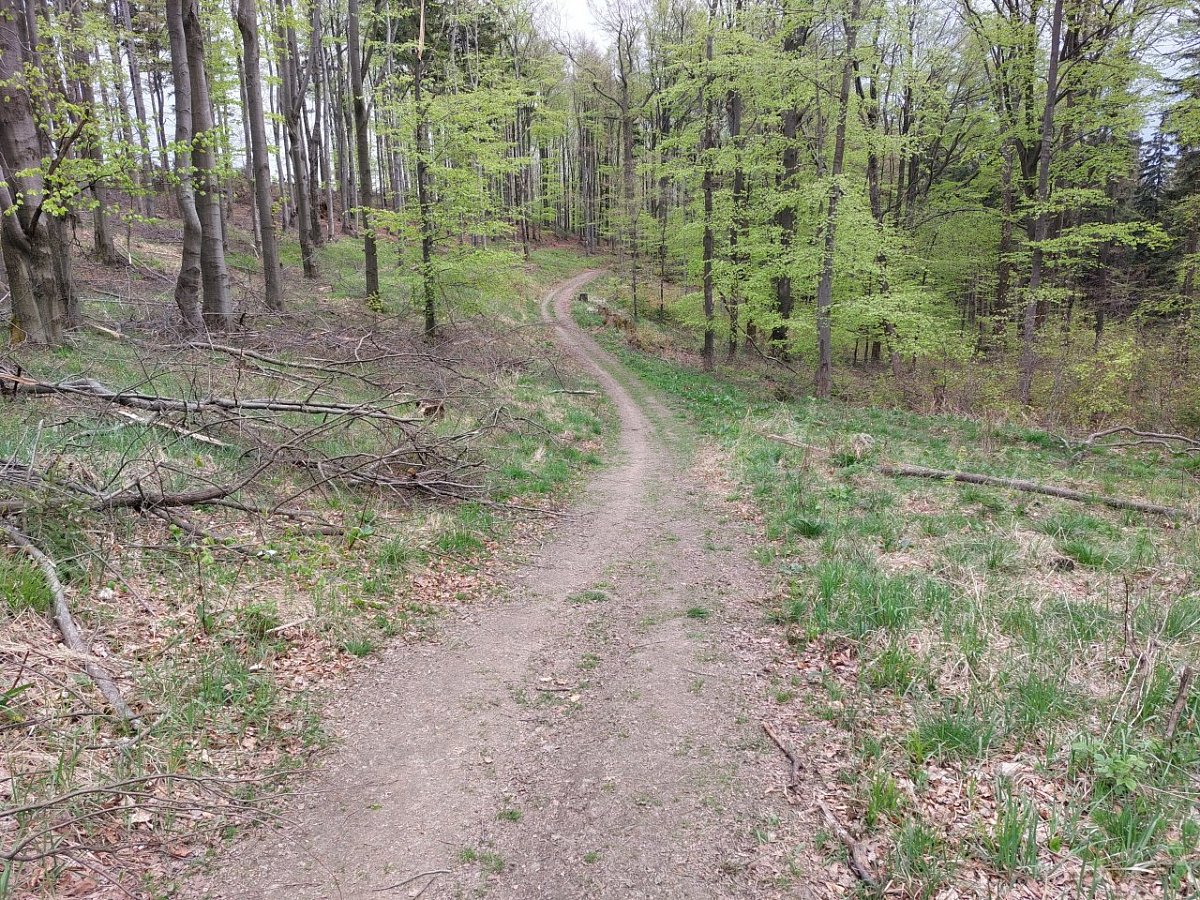 Czarne Kąty (785&nbsp;m)