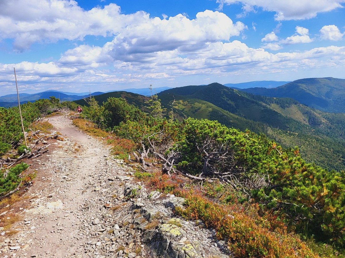 Panská hoľa (1635&nbsp;m)