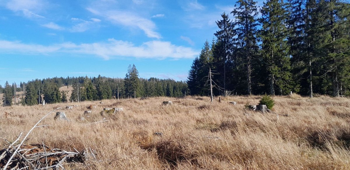 U křížku (1110&nbsp;m)