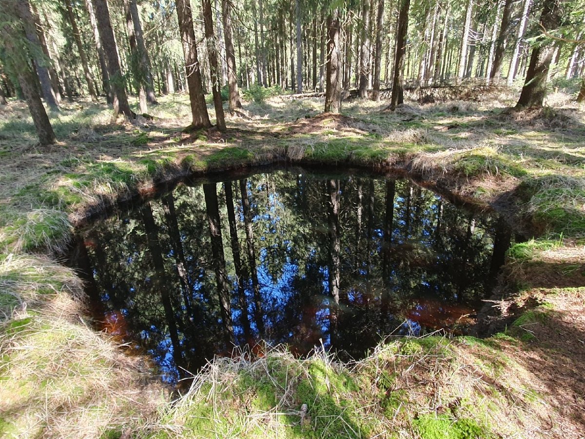 Perninský vrch (1000&nbsp;m)