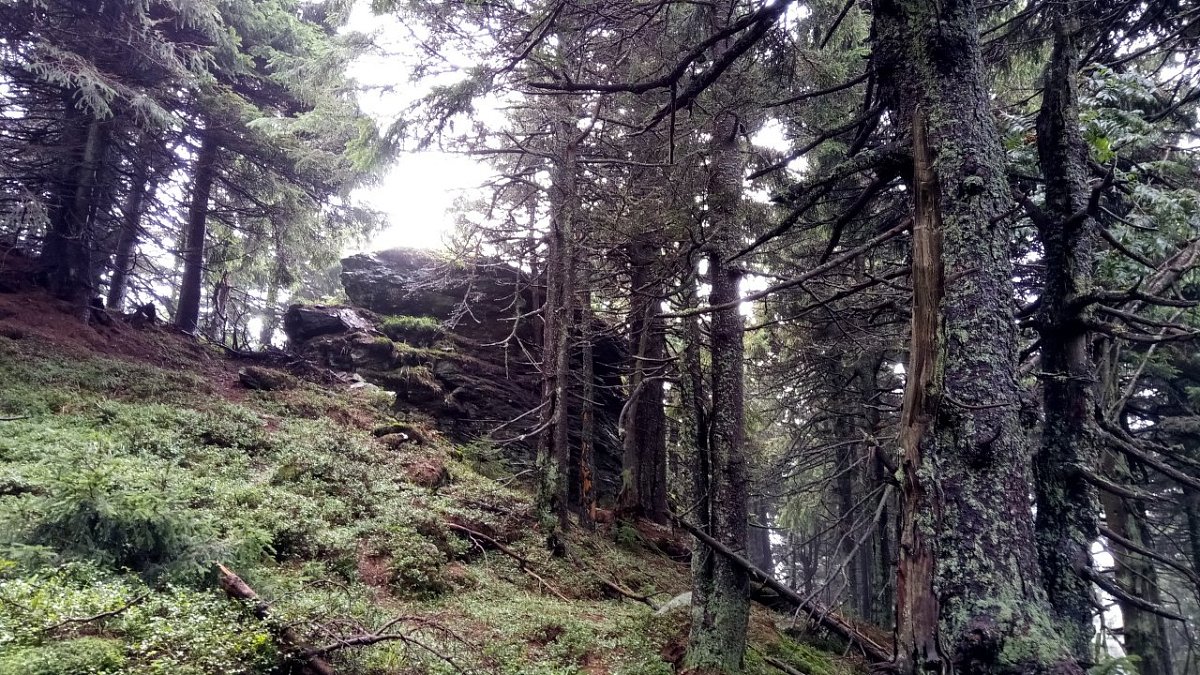 Medvědí hřbet (1261&nbsp;m)