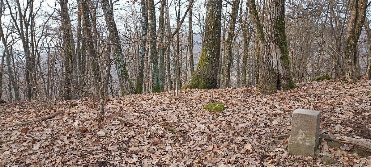 Veľké Orlie (497&nbsp;m)