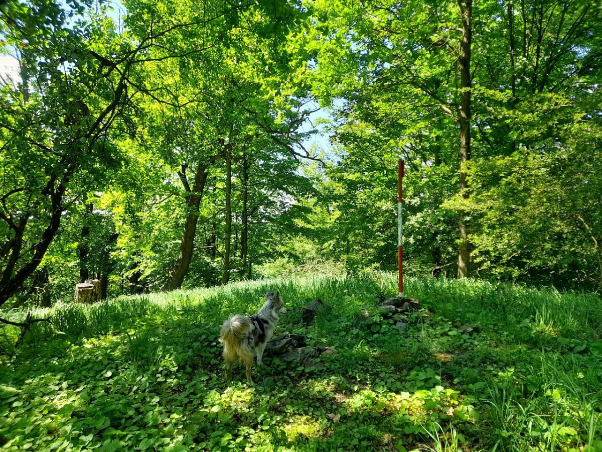 Dubový vrch (415&nbsp;m)