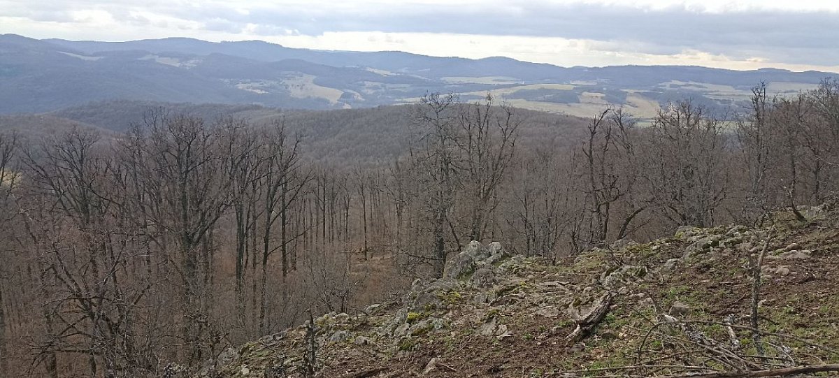 Hlava (619&nbsp;m)