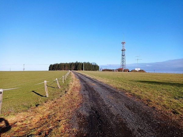Březina