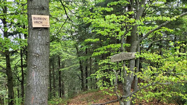 Burkův vrch / Burkov vrch