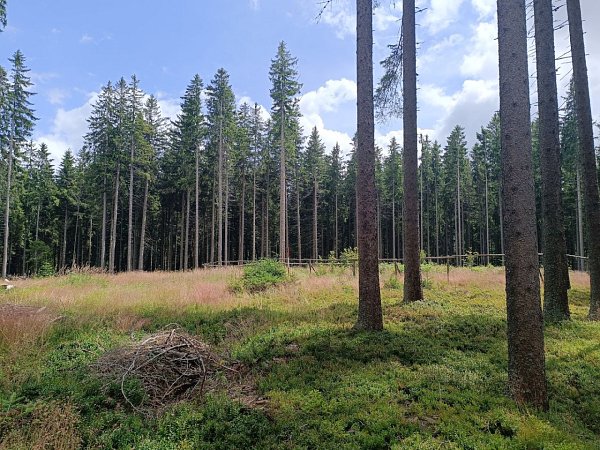 Výška