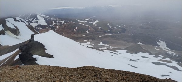 Snækollur
