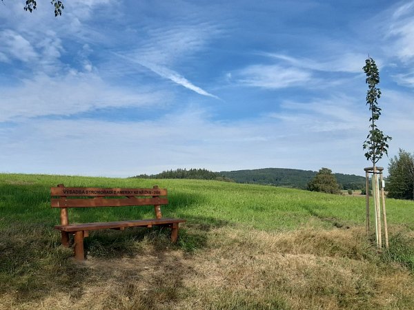 Moničina panoramata