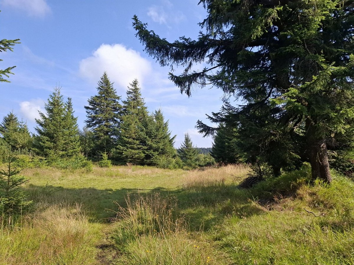 Jelenka (1083&nbsp;m)