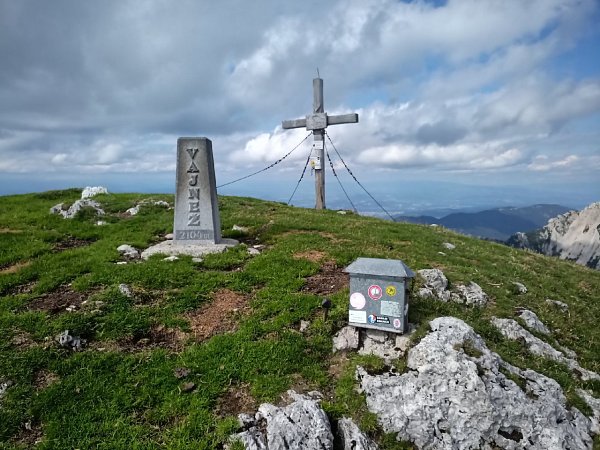 Weinasch / Vajnež