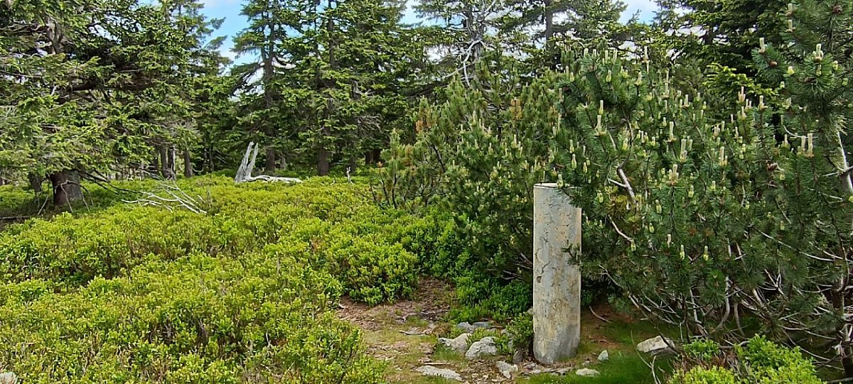 Malý Sněžník / Mały Śnieżnik (1326&nbsp;m)