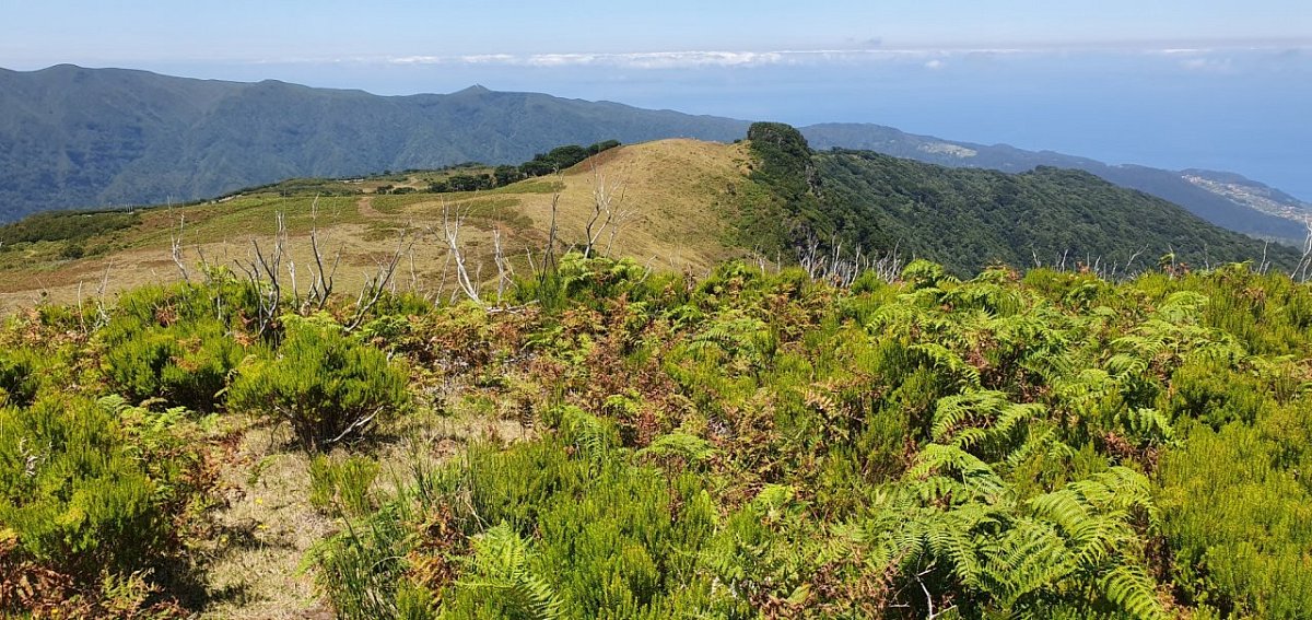 Pedreira (1242&nbsp;m)