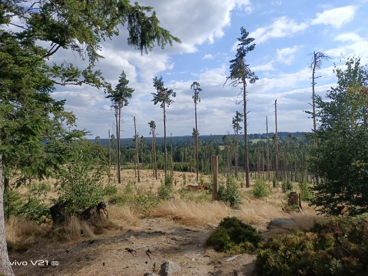 Vysoký kámen (738&nbsp;m)