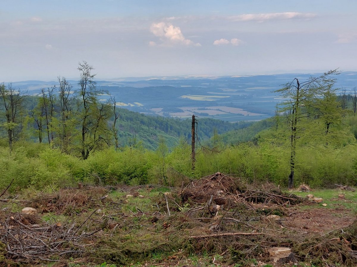 Chochoł Wielki (754&nbsp;m)