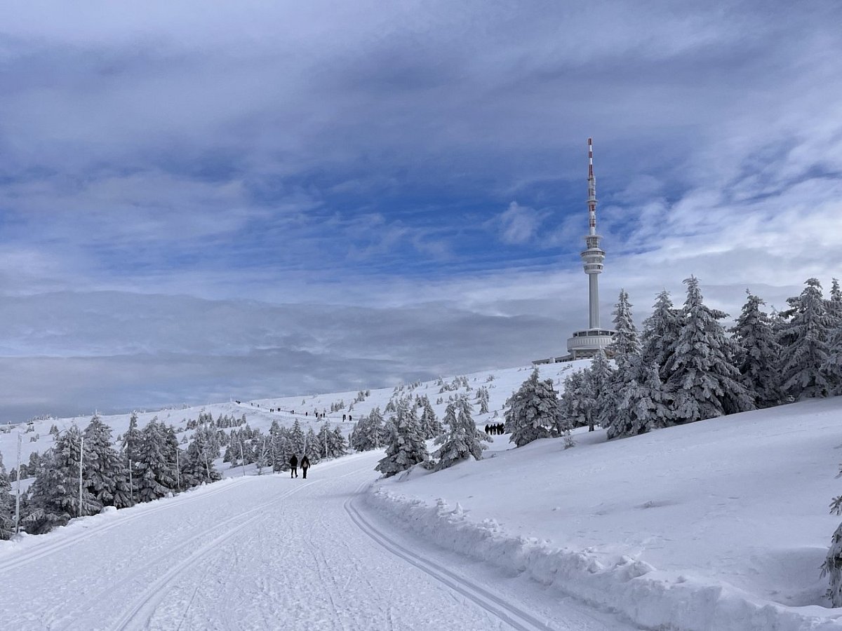 Praděd (1491&nbsp;m)