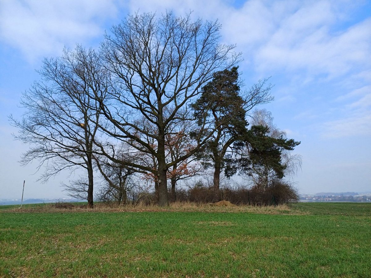 Chmelnice (283&nbsp;m)