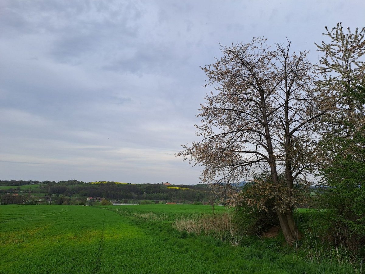 Písečný vrch (312&nbsp;m)