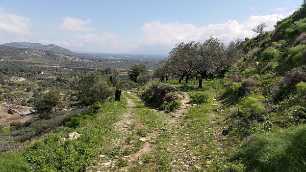 Ψηλό Καστέλλι