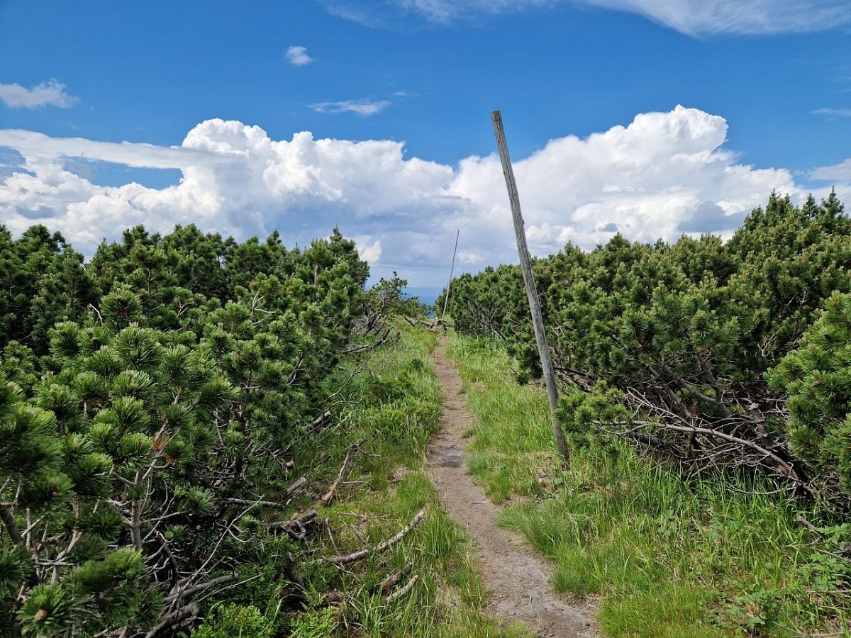 Zámostská hoľa (1612&nbsp;m)