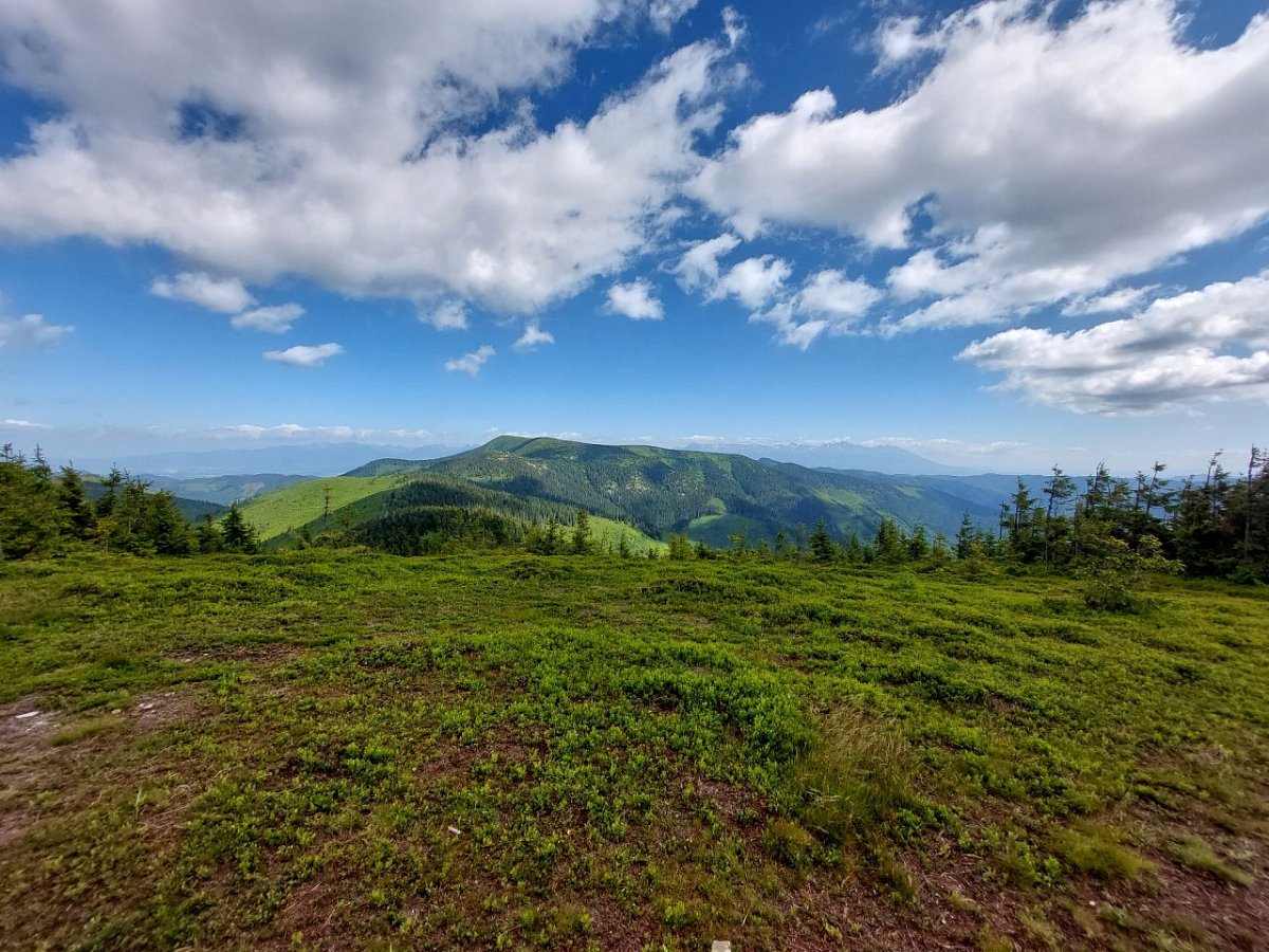 Zadná hoľa (1619&nbsp;m)