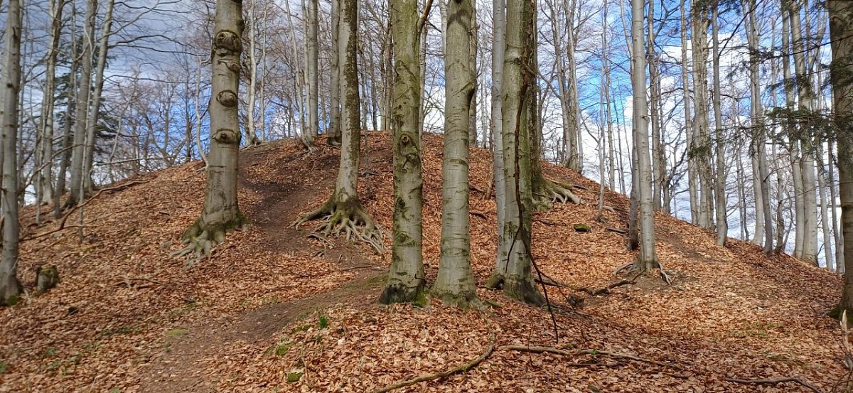 Velký Šébr (633&nbsp;m)