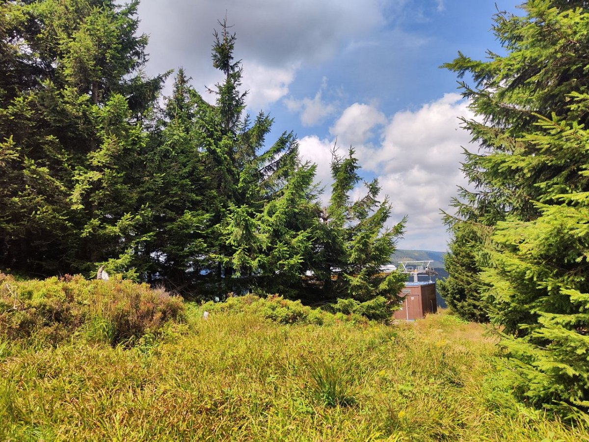 Velký Klínovec (1167&nbsp;m)
