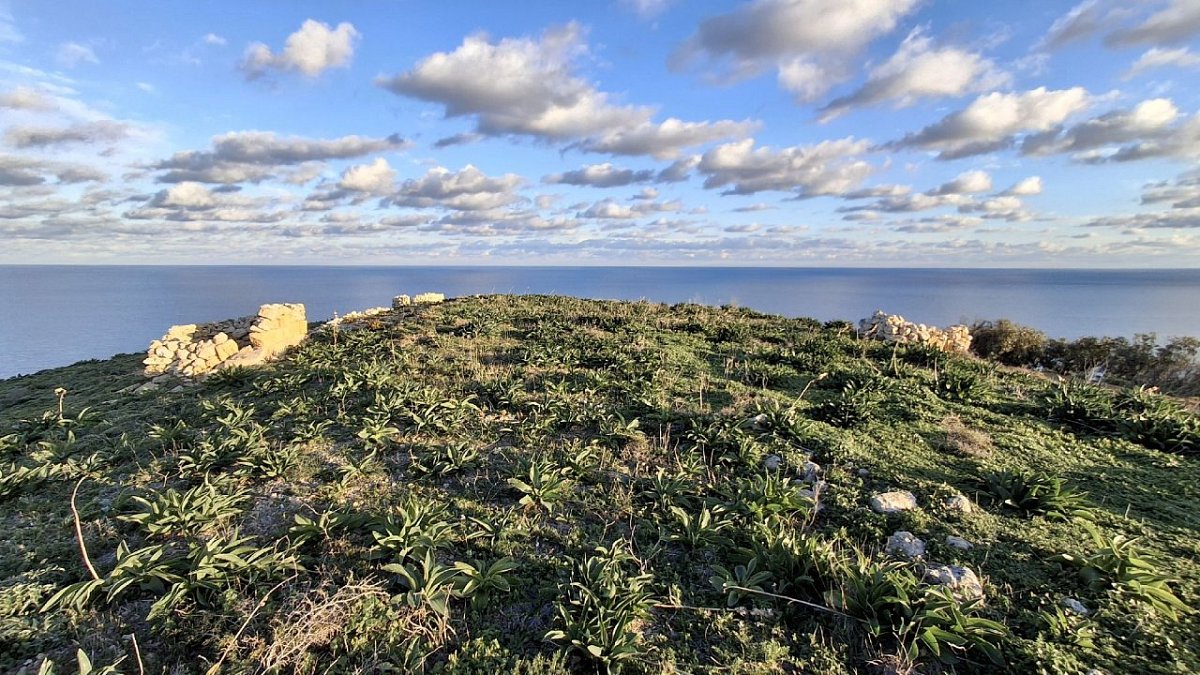 Ħotba tal-Qasam (102&nbsp;m)