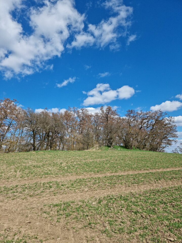 Kalvárka (241&nbsp;m)