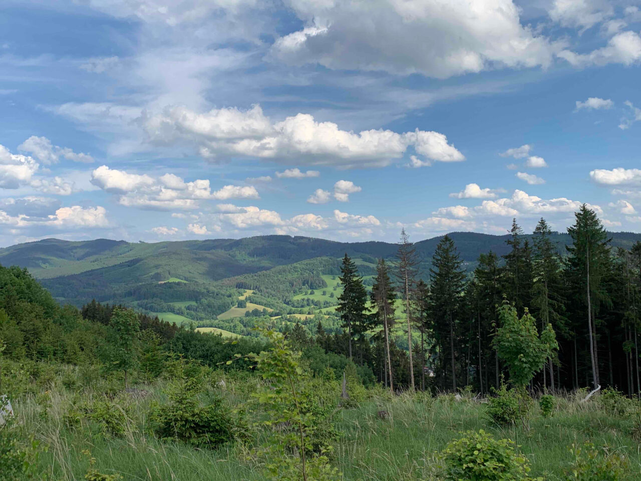 Tanečnice
