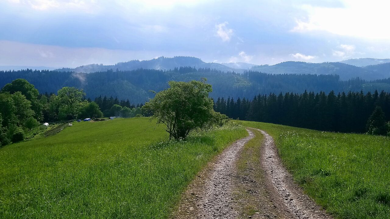 Osloveček
