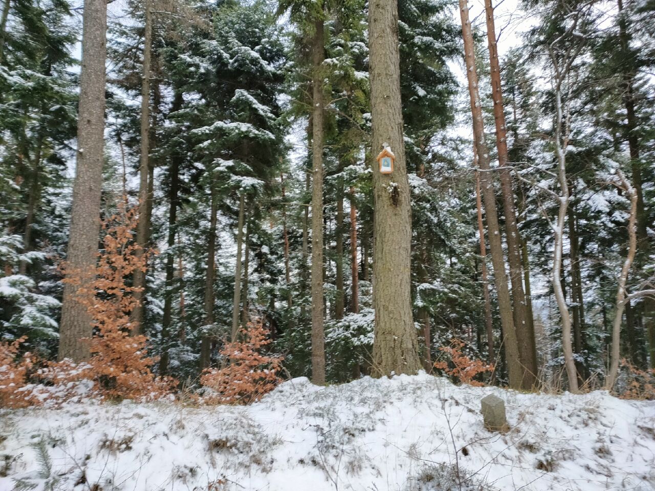 Czupel