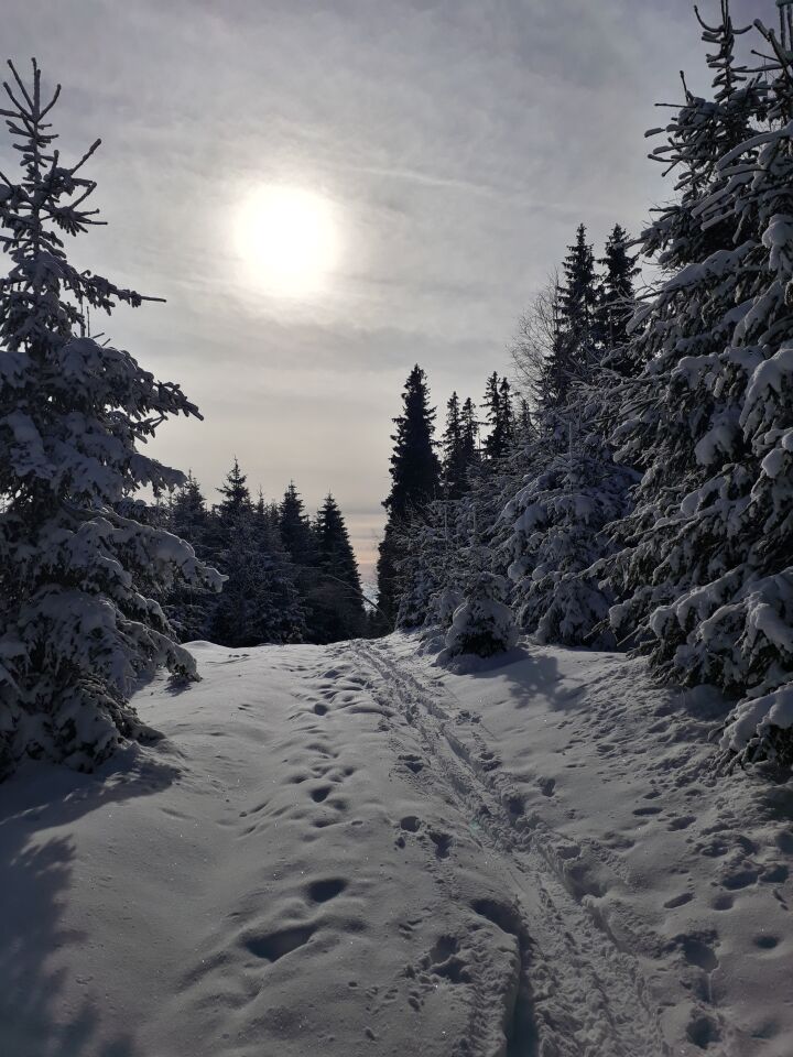Vysoká hora