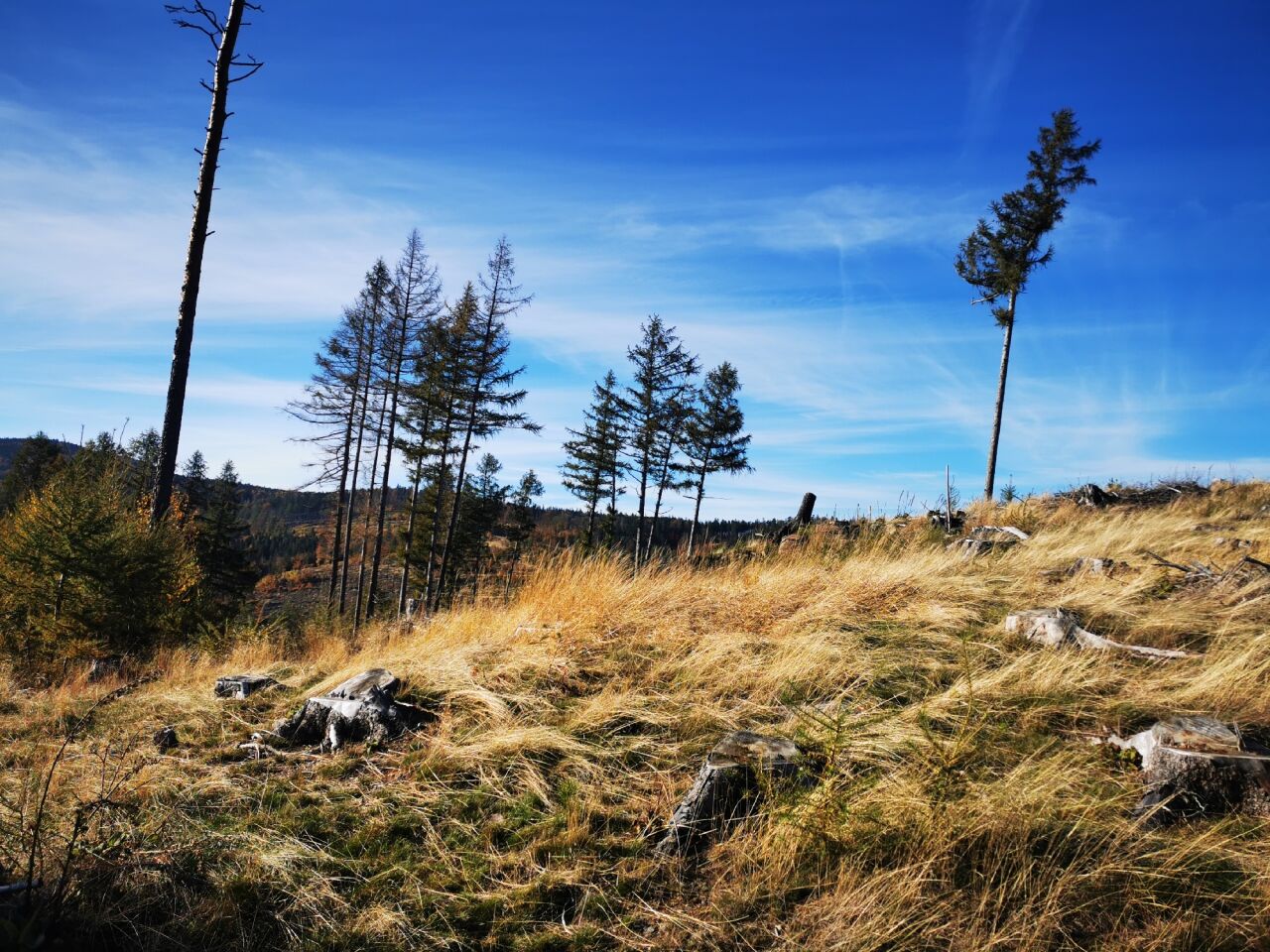 Pěnkavčí vrch