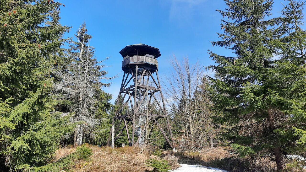 Anenský vrch (995&nbsp;m)